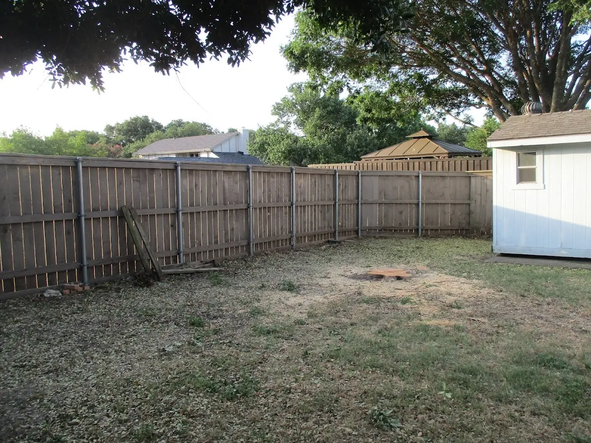 Cleared yard after professional tree removal in Brookline Village
